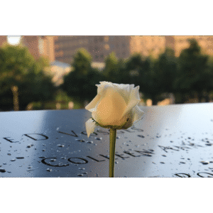 Psicoterapia do Luto