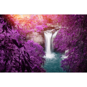 Somos seres em processo…