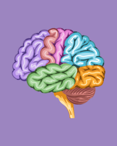 Série A Neurociência do Luto: todos os episódios em um só lugar